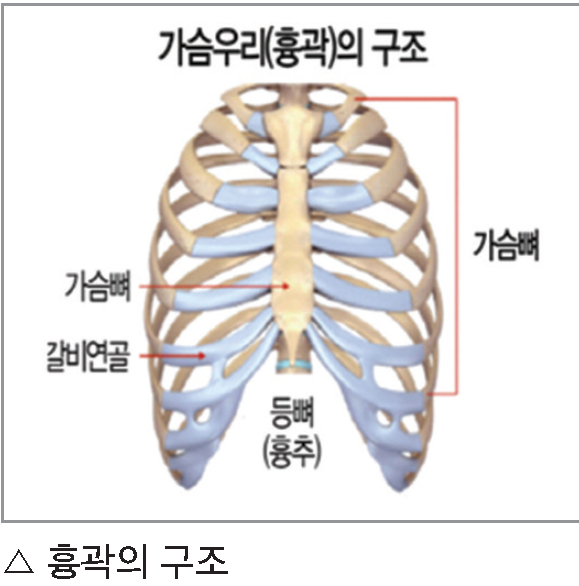 %EC%82%AC%EC%A7%841.%20%ED%9D%89%EA%B3%BD%EC%9D%98%20%EA%B5%AC%EC%A1%B0(1).png
