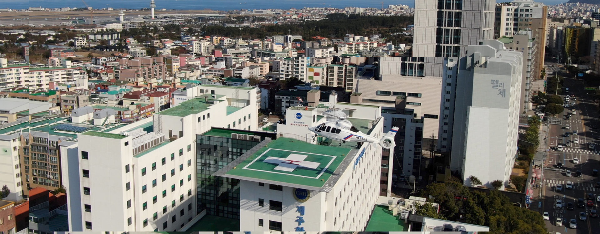 환자의 생명과 건강을 내 몸과 같이 돌본다.